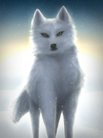 &quot;Winter Wolf&quot; [SCHOOL]