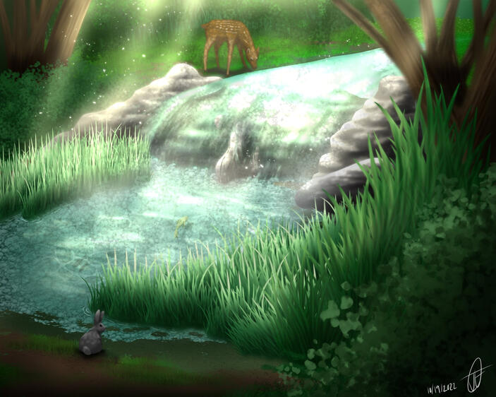 &quot;Calming Pond&quot; [SCHOOL]